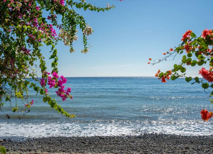 Beach Photo